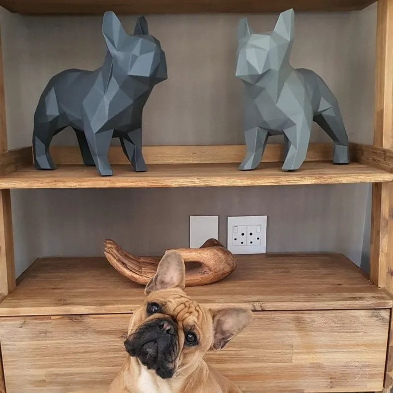 Real dog 10